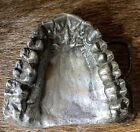 Teeth Belt Buckle Pewter Metal Vintage Bergamot Brass Works 1974 Human