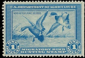 c1934 10c Hunting Permit Duck Stamp - Sc# RW1 - MN, OG - Solid - Picture 1 of 2