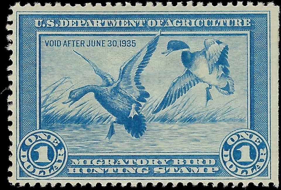 c1934 10c Hunting Permit Duck Stamp - Sc# RW1 - MN, OG - Solid - Image 1 of 2
