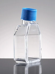 Falcon® 12.5cm² Rectangular Canted Neck Cell Culture Flask Bag/10 - Picture 1 of 1
