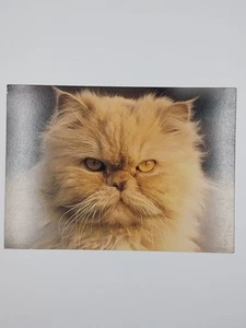 Cute Happy Birthday greeting card - Picture 1 of 2