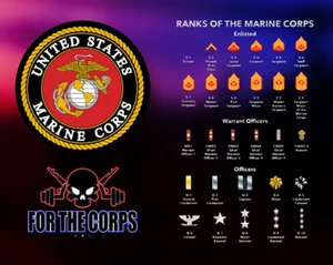Ranks Of The U.S. Marines POSTER 24 X 36 Inches - Picture 1 of 2