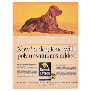 Ken-L Ration Dog Food Vintage Magazine Print Ad Irish Setter 1962 - Picture 1 of 1