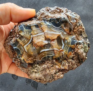 16,79 oz (475 gr) ungeöffnete Geode, gebänderter Achatstein, ungeschliffenes Donnerei - Bild 1 von 12