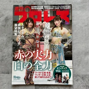 Weekly Pro Wrestling magazine No.2221 2023 Japanese magazine Japan - Picture 1 of 5