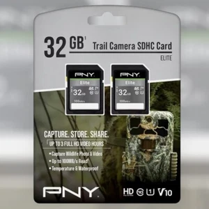 Tarjeta de memoria flash SD PNY P-SD32GX2V10100ELGC-GE 32 GB Elite Class 10 U1 V10 - Imagen 1 de 12