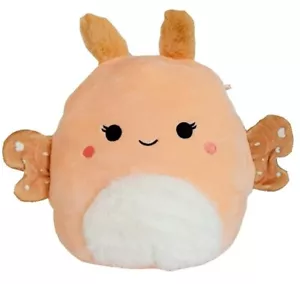 BRAND NEW! Squishmallows AMAL 8” Orange Peach MOTH Plush NWT Kellytoy Very HTF! - Picture 1 of 5