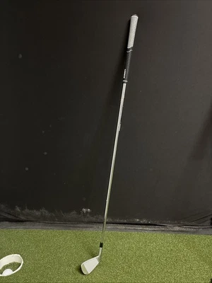 Mizuno Pro 221 3-plancha - 21* - Project X 6.0 acero rígido flexible - NUEVO Foto 1 de 4