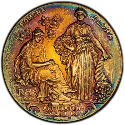 MS64 无日期英国英国 RHS 金镀金银奖章,PCGS - 色调精美 — 第 1/4 张图片
