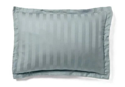 Threshold Luxe Striped Damask Green 2 Standard 20" x 26" Size Sham Set NWOT - Image 1 of 4