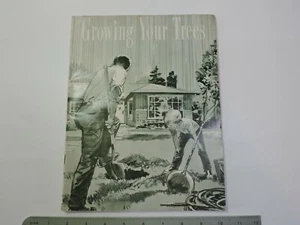 1966 Growing Your Trees By Wilbur Youngman & Charles Randall Softback Book - Imagen 1 de 7