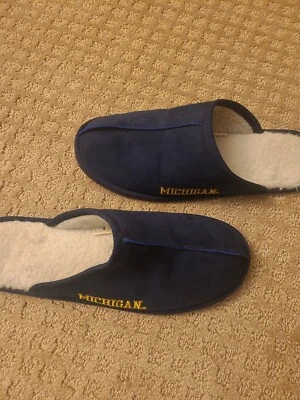 Zapatillas Michigan Wolverines para hombre talla grande Universidad de Michigan  Foto 1 de 4