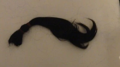 Cola de caballo cabello humano 19 pulgadas negra recta corte fresco Filipinas Foto 1 de 3