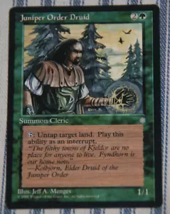 Vintage Magic the Gathering - Wacholderorden Druide - Ice Age Green Creature - Bild 1 von 2