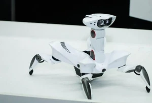 WowWee Robotics 2007 Roboquad Robot Control Remoto Completamente Funcionando REMOTO Sin Probar - Imagen 1 de 9