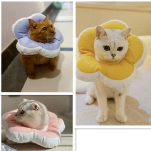 Cat Collars Elizabeth Circle Adjustable Pet Collar Wound Anti Licking Neck Cover - Picture 1 of 16