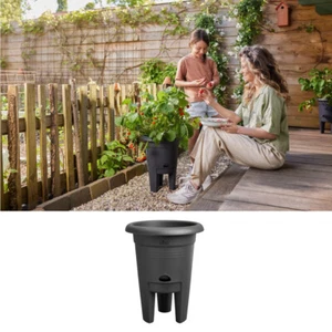 elho green basics Erdbeertopf 33cm living schwarz Erdbeerpot Pflanztopf Anzucht - Bild 1 von 9