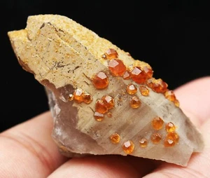 26g Top ! Spessartine Garnet with Smoky Quartz Crystal Mineral Specimen - Picture 1 of 9
