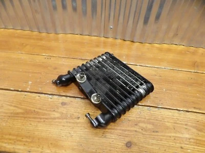 08-17 Victory Vision OIL COOLER 1240253-067 - Imagem 1 de 4
