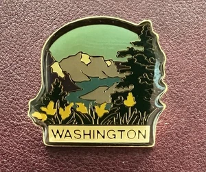 State Of Washington Pin - Picture 1 of 1