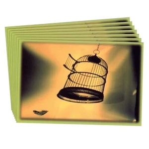LOT OF 7 CARLTON CARDS INTUITIONS GOOD LUCK Cards + Envelopes, Bird Cage Freedom - Bild 1 von 5