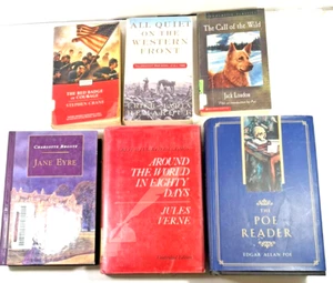 Classic Novels, Bundle of 6 Assortment of Various Genres Paperback and Hardcover - Picture 1 of 10