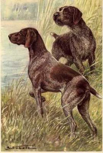 German Short / Wire / Wirehaired Pointer - CUSTOM MATTED - Dog Art Print / NEW U - Picture 1 of 2