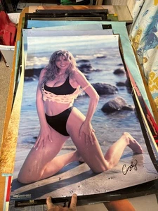 #359 Vintage Poster 34x22.5 1990 Sexy Blonde Cindy Margolis Bikini ManCave PinUp - Picture 1 of 7