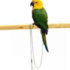 Steel Parrot Foot Chain Ankle Foot Ring Bird's Foot Ring Anklet Stand Chain