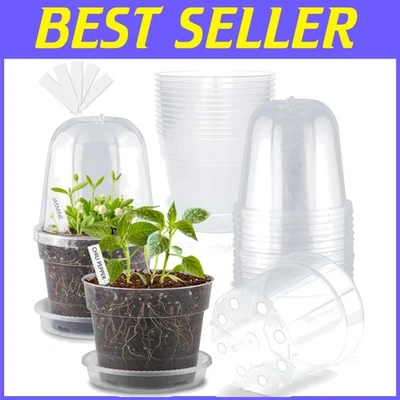 Macetas de inicio de semillas transparentes con 15 piezas etiquetas de plantas Foto 1 de 4