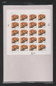 US 1998 SC 3036 RED FOX ORIGINAL PACKAGING MINT NEVER HINGED SHEET OF 20 - Picture 1 of 2