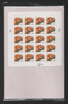 US 1998 SC 3036 RED FOX ORIGINAL PACKAGING MINT NEVER HINGED SHEET OF 20 - Image 1 of 2