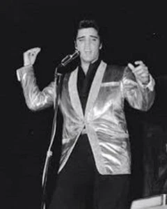 10 IMANES DE NEVERA ELVIS PRESLEY todos diferentes --- que cubren toda la carrera de Elvis - Imagen 1 de 16