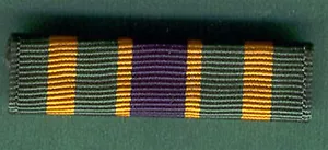 ARMY NCO PROFESSIONAL DEVELOPMENT RIBBON - Picture 1 of 1