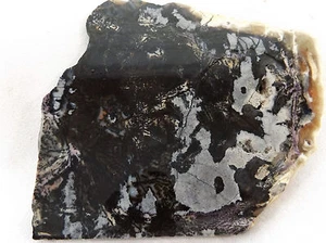 DIG-N-UTAH: SLAB TIFFANY STONE BERTANDITE ROUGH CAB JASPER   #H 753 - Picture 1 of 7