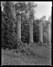 Barboursville,houses,columns,gardens,plants,VA,Virginia,Architecture,1930 1