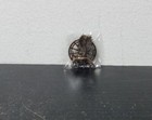 The Hunger Games - Catching Fire Mockingjay Pin - by NECA - NEW!