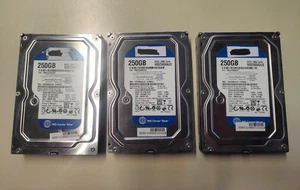 N° 3 HARD DISK 3.5" WD Caviar Blue 250gb WD2500AAJS - Foto 1 di 5