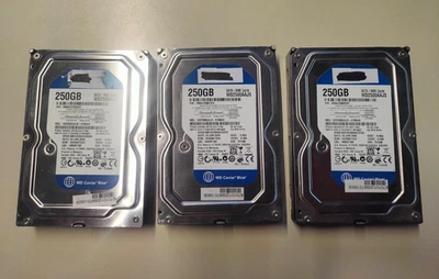 N° 3 HARD DISK 3.5" WD Caviar Blue 250gb WD2500AAJS - Immagine 1 di 4