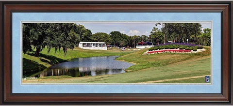 Valspar Championship Framed 10" x 30" PGA Tour Panoramic Photograph Cover