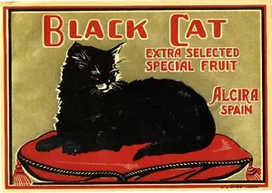 Alcira Spanien spanische schwarze Katze orange Zitrusfruchtkiste Etikettendruck Halloween - Bild 1 von 1