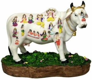 KrishnaCulture F611 Sacred Cow 7" - Picture 1 of 2