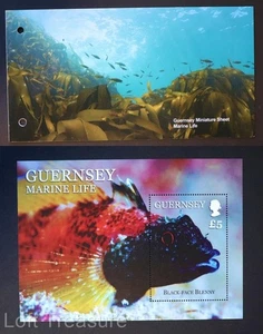 Guernsey Briefmarken: "Wunderbares Meeresleben" £5,00 M/S postfrisch Präsentationspaket 2013 - Bild 1 von 6