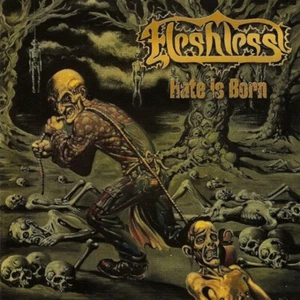 FLESHLESS - Hate Is Born CD - Bild 1 von 1