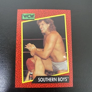 1991 Impel WCW Wrestling Trading Card #131  Southern Boys - Picture 1 of 2