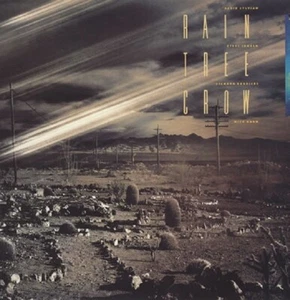 Rain Tree Crow 1991 Europe Lp David Sylvian , Mick Karn , Richard Barbieri ,  - Picture 1 of 1