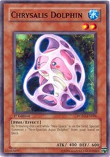 Chrysalis Dolphin - POTD-EN006 - Common - Unlimited Edition Near Mint Yugioh Car