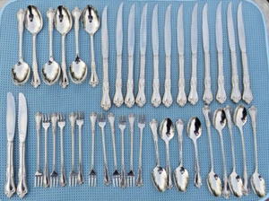 Oneida Briarwood All American Stainless 41 Piece Filler Set Spoons,Forks, Knives - Picture 1 of 13