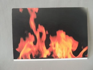 Vintage Sisley postcard 1999 by Terry Richardson - Picture 1 of 9