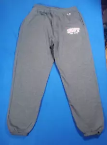 Champion Eco Fleece U.S.A NAVY Men's Gray Sweatpants Size L NEW NWOT - Picture 1 of 14